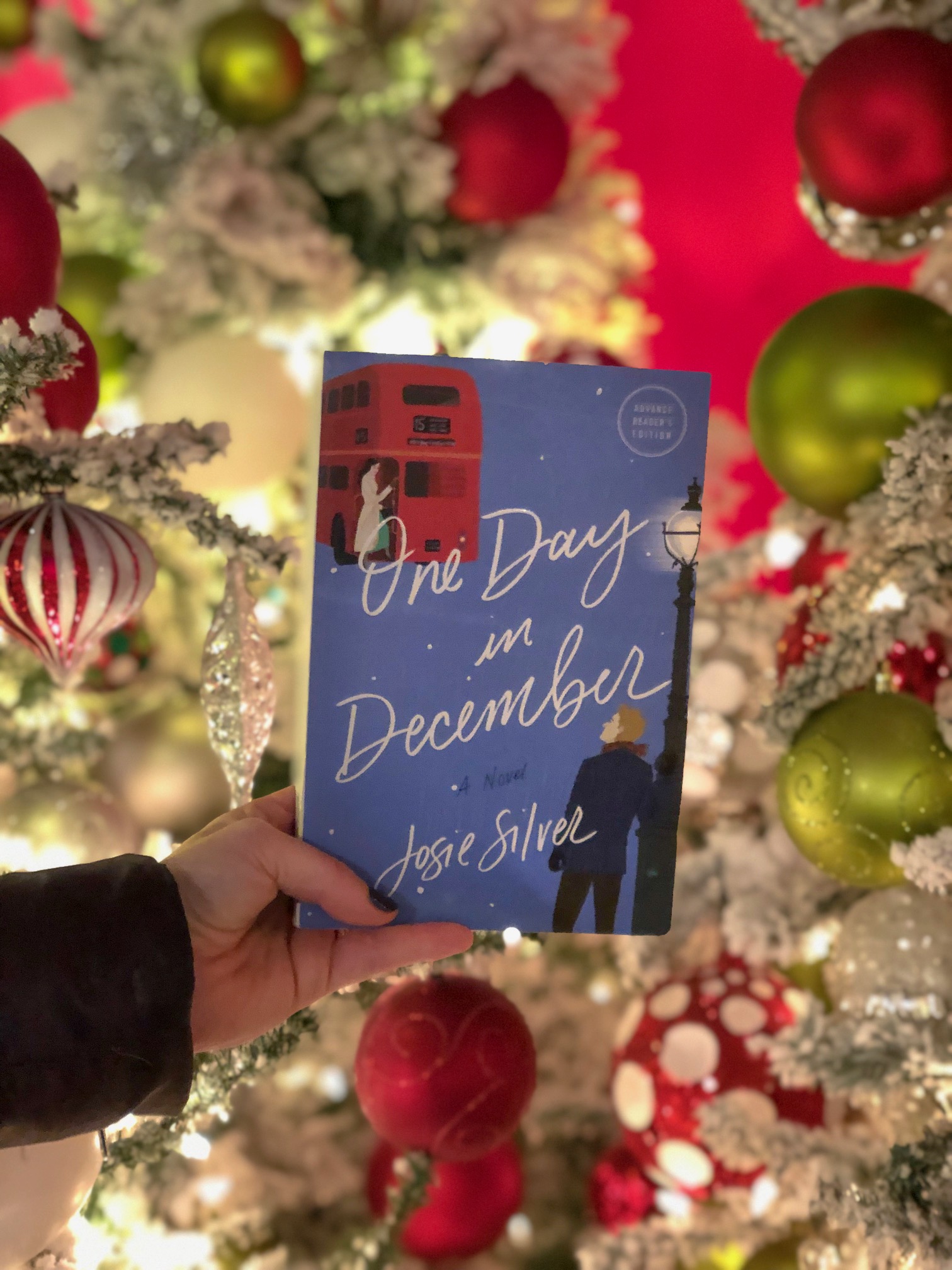 One Day in December by Jodie Silva